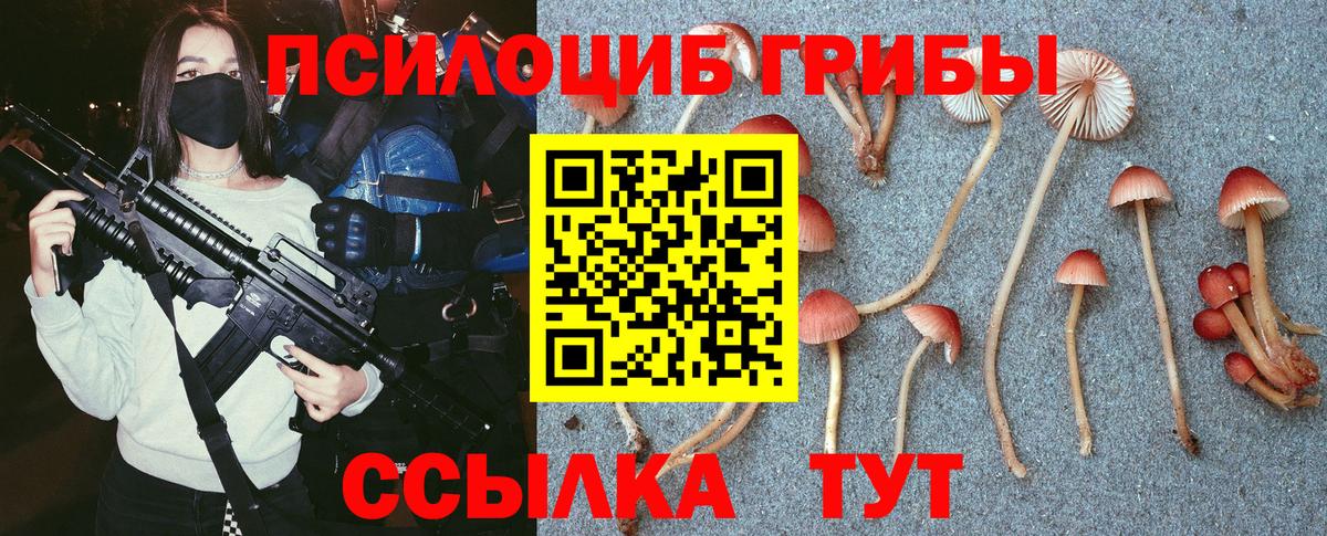 Галлюциногенные грибы Psilocybe Миллерово