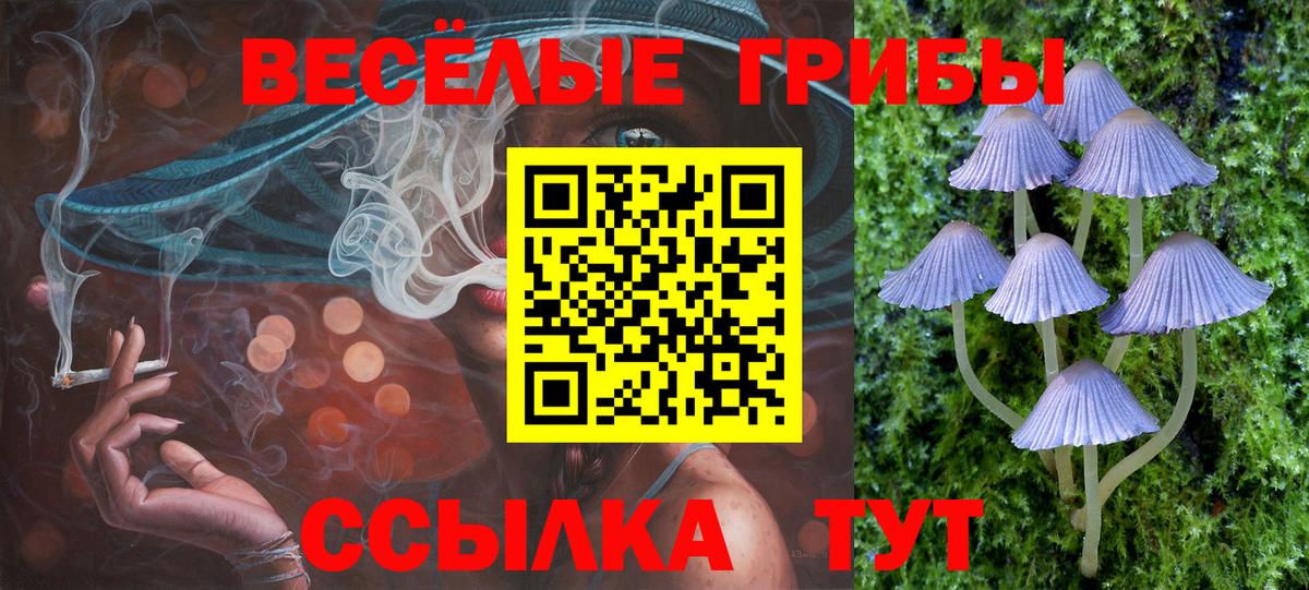 Галлюциногенные грибы Magic Shrooms  Вход с VPN  Псилоцибиновые грибы Magic Shrooms  Миллерово 